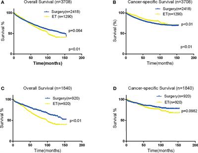 Endoscopic Versus Surgical Therapy for Early Esophagogastric Junction Adenocarcinoma Based on Lymph Node Metastasis Risk: A Population-Based Analysis